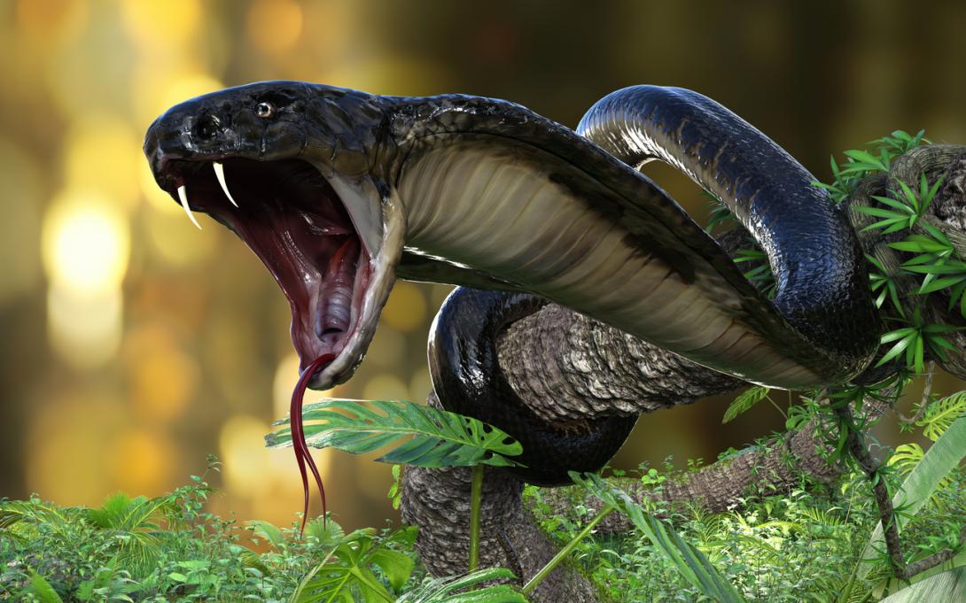 Descubren un fósil en la India que revela una monstruosa serpiente prehistórica-0